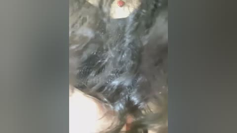 hotestfantasy free recording from 2026-02-20 00:18:00