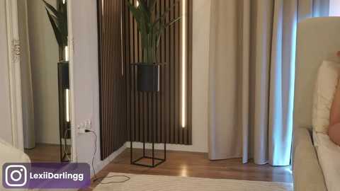 Video of a modern bedroom with wooden floor, beige curtains, a tall potted plant, and a minimalist black side table.