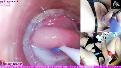 Video of a woman's vagina being penetrated by a toy, with a close-up of her face in a black leather outfit, and another close-up of her vaginal insertion.