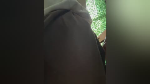 pumashyxd free recording from 2026-02-20 00:12:00