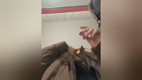 ttixmila free recording from 2026-02-20 00:12:00