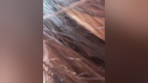 carlin_yiyi free recording from 2026-02-21 00:20:00