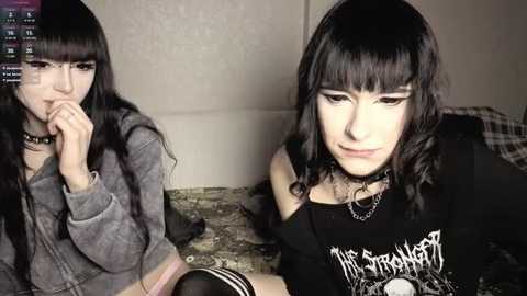 graypaclive free recording from 2026-02-21 00:20:00