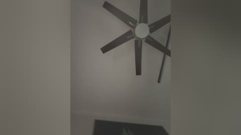A video of a dimly lit ceiling featuring a white ceiling fan with five dark blades and a central light fixture. The image has a muted, grainy texture and is taken from a low angle, emphasizing the fan's downward motion.
