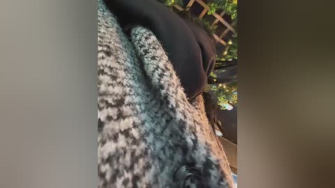 kimkelly13 free recording from 2026-02-21 00:20:00