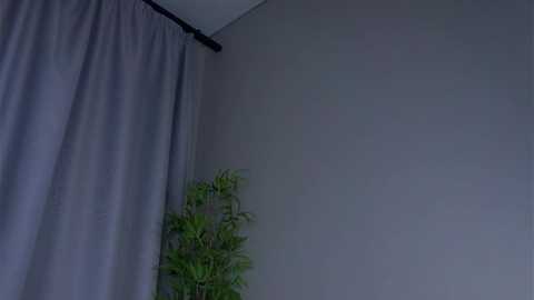 aftonconnett free recording from 2026-02-22 00:07:00