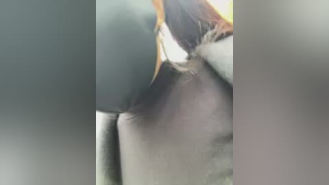 carlin_yiyi free recording from 2026-02-22 00:17:00