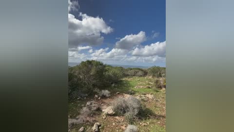 inked_lorena free recording from 2026-02-22 01:22:00