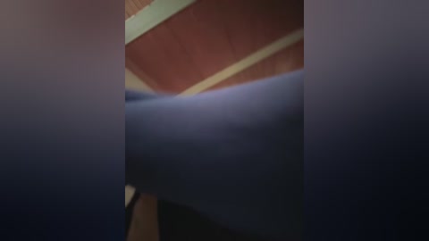 lalilamassu1 free recording from 2026-02-22 00:17:00