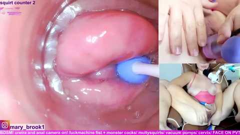 marybrook1 free recording from 2026-02-22 00:05:00