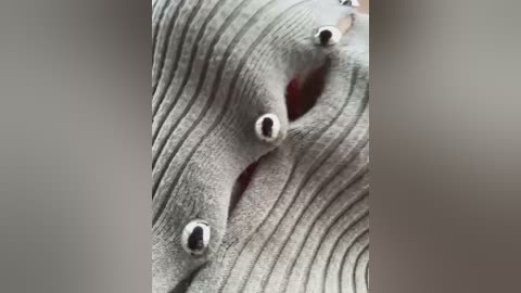 may_squirt free recording from 2026-02-22 00:17:00