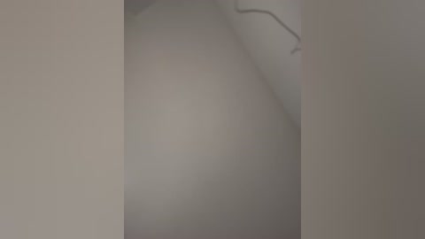 michelleferry_ free recording from 2026-02-22 00:07:00