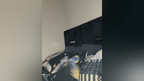 cardibabe free recording from 2026-02-23 00:34:00