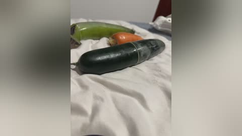 dani_bela free recording from 2026-02-23 00:42:00