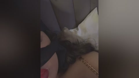 noha_sexy free recording from 2026-02-23 00:17:00