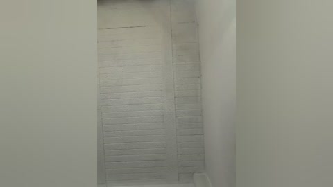 aly_golden_ free recording from 2026-02-24 00:30:00