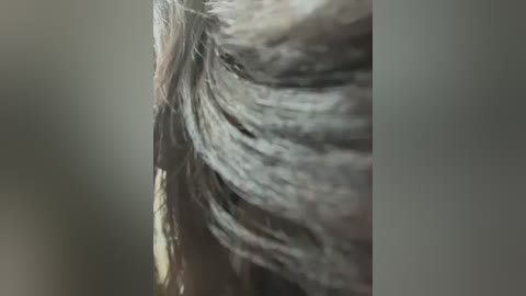 carlin_yiyi free recording from 2026-02-24 00:30:00