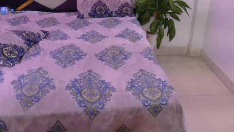 Video of a neatly made bed with lavender sheets featuring intricate paisley patterns in blue and green. The room has a light beige tiled floor and a potted green plant in the corner.