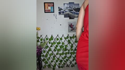 noor_bold free recording from 2026-02-24 00:08:00