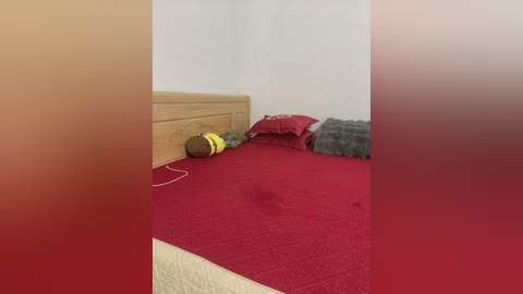 Video of a small, messy bedroom with a wooden headboard, a red quilt, and a pile of gray blankets, a stuffed animal, and a red pillow on the floor. The walls are plain white, and the room is dimly lit.