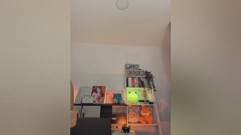 your_honeey free recording from 2026-02-24 01:17:00