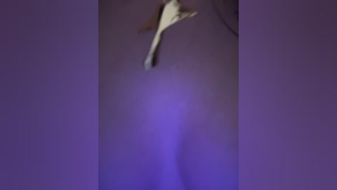 anita_vega free recording from 2026-02-25 00:04:00