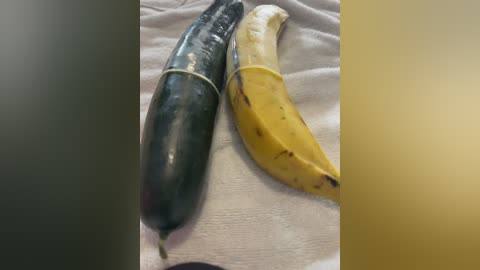 dani_bela free recording from 2026-02-25 00:53:00