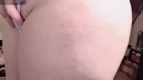 donghuangtaiyi___ free recording from 2026-02-25 00:19:00