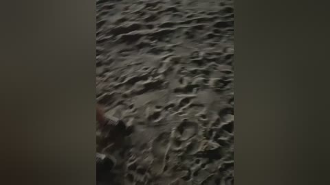 joel852 free recording from 2026-02-25 00:16:00