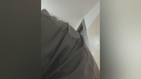 Video of a narrow, dimly lit hallway with a black leather couch on the left and a beige wall on the right, creating a narrow, confined space.