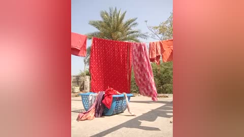 Media: Video of a sunny outdoor laundry setup with a vibrant red and orange cloth drying on a line, blue baskets, and a red and white checkered cloth, set against a backdrop of palm trees and greenery.
