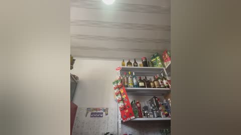 sara_fun free recording from 2026-02-25 00:09:00