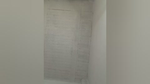 aly_golden_ free recording from 2026-02-26 00:42:00