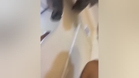 clarachanelricek free recording from 2026-02-26 00:01:00