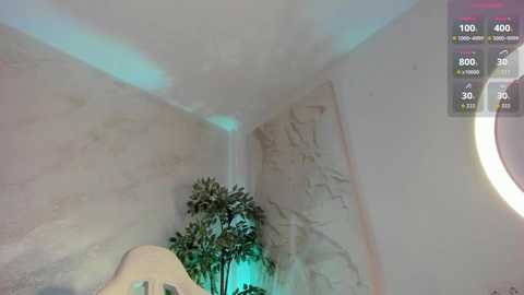 lissababe1 free recording from 2026-02-26 00:47:00