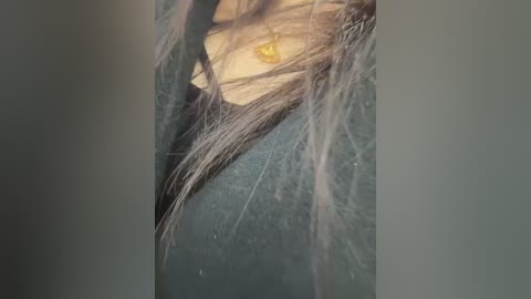 maneki_nekoo free recording from 2026-02-26 00:42:00