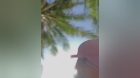 sheenabrooke free recording from 2026-02-26 00:47:00