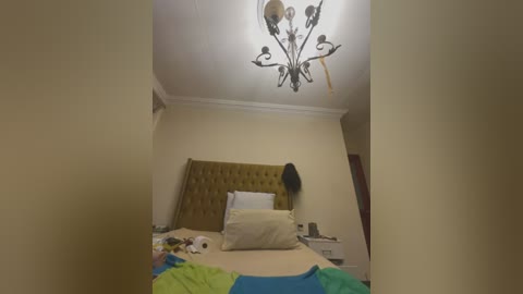 xxxsexyamazon free recording from 2026-02-26 00:47:00