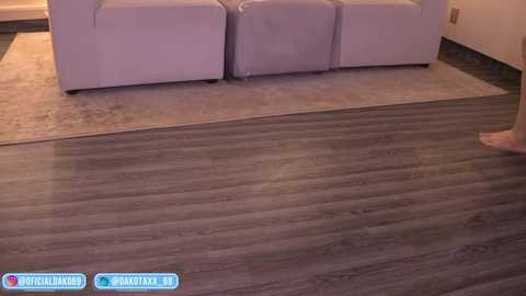 Video of a modern living room with a light purple sectional sofa and a dark wooden floor, featuring a person's feet at the edge of the frame.