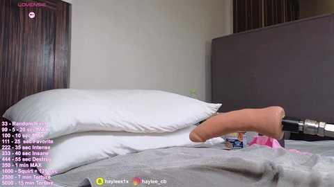 hayleex_x free recording from 2026-02-27 00:46:00