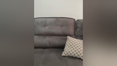 Video of a modern living room with a dark gray leather sectional sofa and a patterned throw pillow. The background is a plain white wall. The image is framed by a blurry, off-white border.