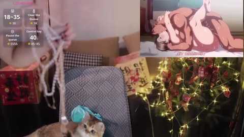 moonccoi free recording from 2026-02-27 00:46:00