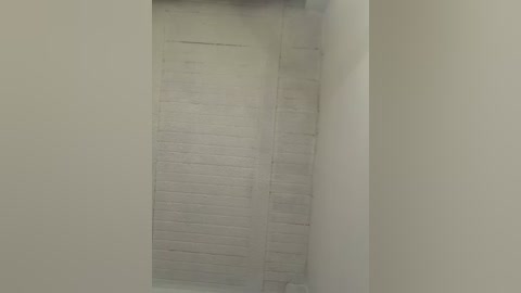 aly_golden_ free recording from 2026-02-28 00:13:00