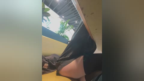 Video of a person with fair skin, wearing black leggings and a dark shirt, bending over in a yellow room with green plants visible through a glass door.