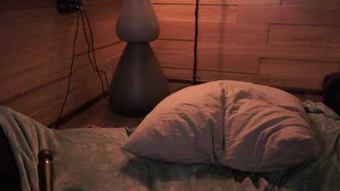 Video of a cozy bedroom with wooden walls, a grey lamp, a green blanket, and a large white pillow on a bed.