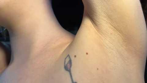 dirtypub free recording from 2026-02-28 01:15:00