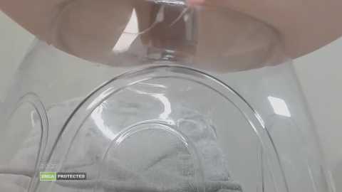 hanna_18_cute free recording from 2026-03-01 00:17:00