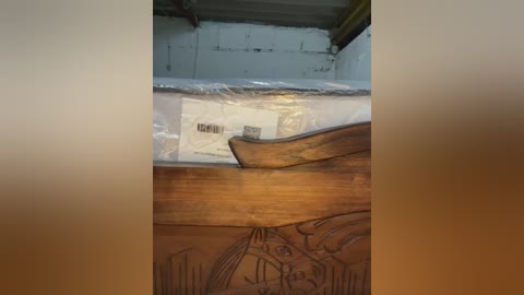 indialatin free recording from 2026-02-28 02:34:00