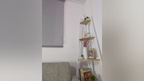 Video of a minimalist, white-walled room with a grey couch, a wooden ladder shelf holding plants and framed photos, and a partially visible laptop on a table.