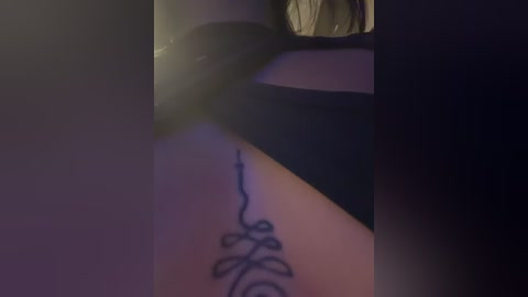 alannaevons free recording from 2026-03-01 00:17:00